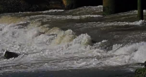 法国诺曼底米尔市Courseulles的瀑布 实时4K — 图库视频影像