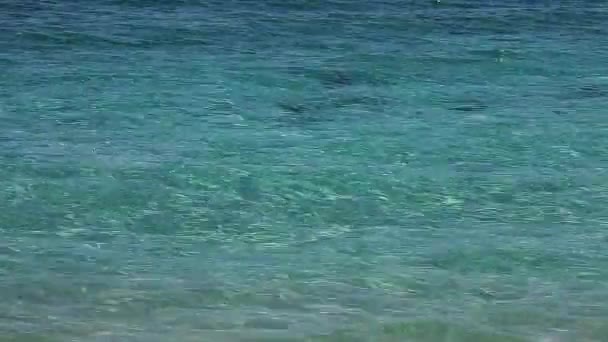 Strand Auf Katzeninsel Bahamas Echtzeit — Stockvideo