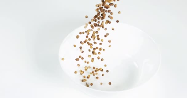 Coriander Coriandrum Sativum Fehér Háttér Alá Eső Magvak Slow Motion — Stock videók