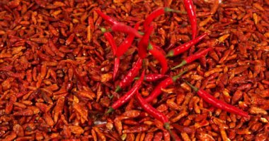 Taze Kırmızı Chili Peppers, capsicum annum ve Bird Pepper, capsicum frutescens, Spice fall, Slow Motion 4k