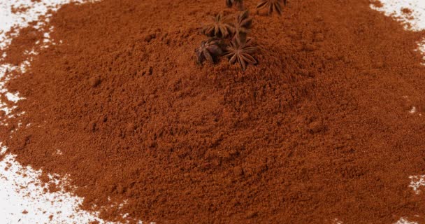 Star Anise Illicium Verum Especia Que Cae Sobre Polvo Star — Vídeo de stock