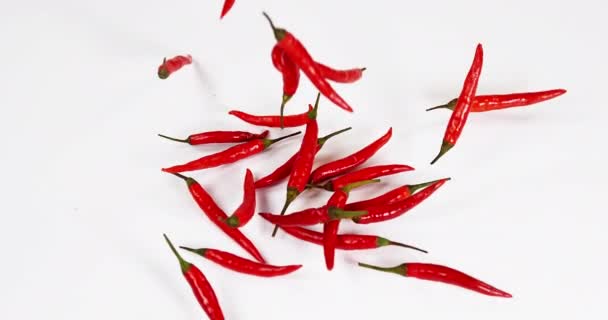 Red Chili Peppers Capsicum Annuum Falling Background Slow Motion — Stock Video