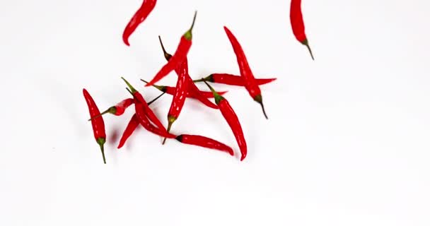 Red Chili Peppers Capsicum Annuum Falling Background Slow Motion — 비디오