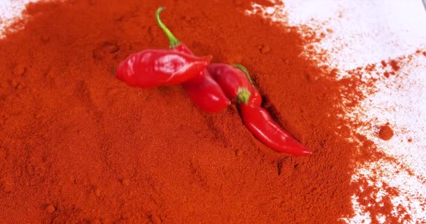 Fresh Red Chili Peppers Capsicum Annuum Falling Powder Red Chili — 비디오