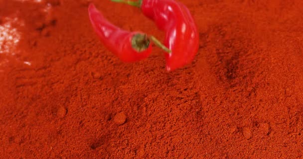 Verse Rode Chili Pepers Capsicum Annuum Vallen Poeder Van Rode — Stockvideo