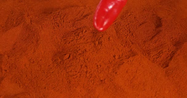 Paprika Kapsicum Yıllık Paprika Pudrası Üzerine Düşen Yavaş Hareket — Stok video