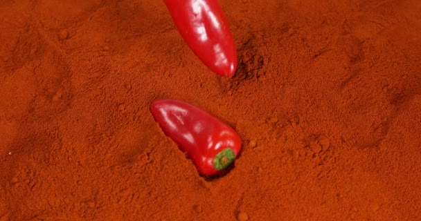 Paprika Capsicum Annuum Tombant Sur Poudre Paprika Mouvement Lent — Video