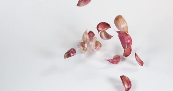 Knoflook Allium Savitum Vallende Tegen Witte Achtergrond Slow Motion — Stockvideo