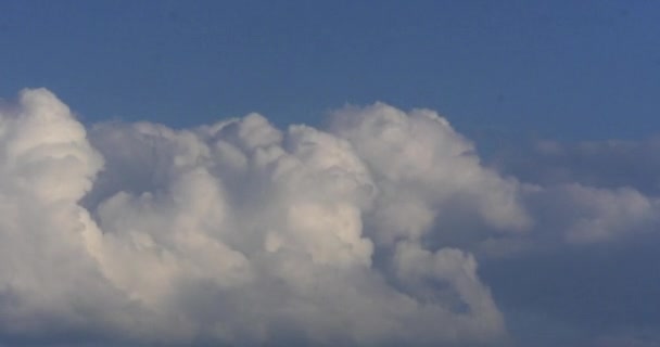 Blue Sky Met Wolken Camargue Het Zuidoosten Van Frankrijk Time — Stockvideo