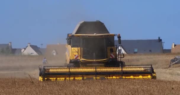 Combineer Oogstmachine Bij Basly Normandië Real Time — Stockvideo