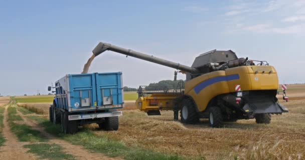 ノルマンディーのベイリー付近の収穫機を組み合わせる リアルタイム4K — ストック動画