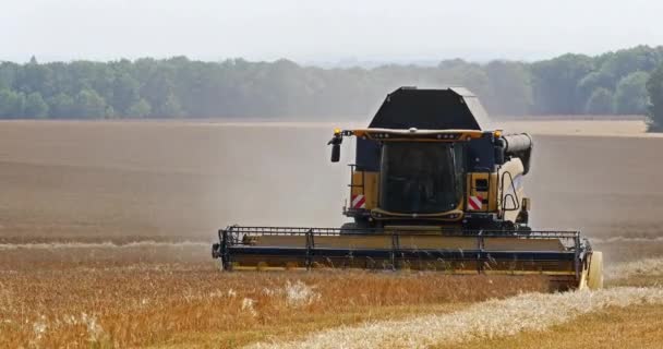 Combine Harvester Basly Normandy Real Time — Stock Video