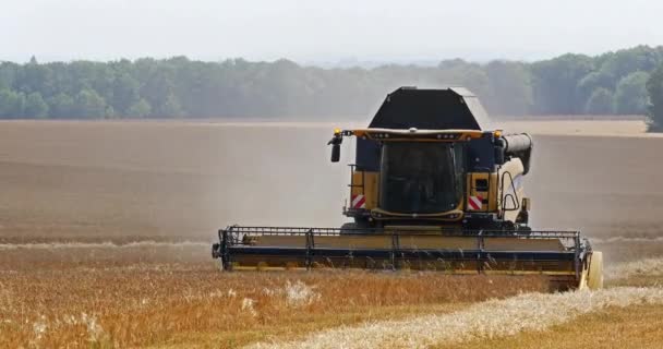 Combine Cosechadora Cerca Basly Normandía Tiempo Real — Vídeos de Stock