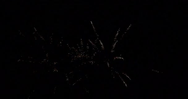 Fuochi Artificio Deauville Normandia Tempo Reale — Video Stock