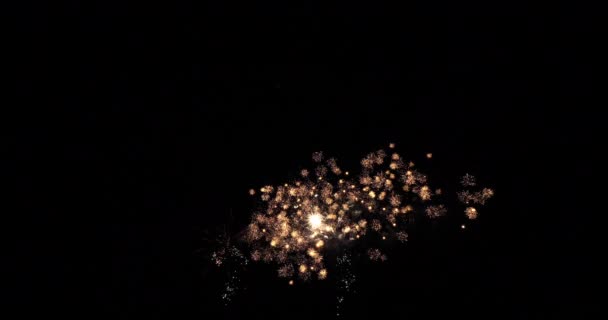 诺曼底的Fireworks Deauville 实时4K — 图库视频影像