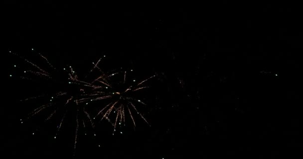 Vuurwerk Deauville Normandië Real Time — Stockvideo