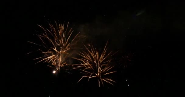 Fogos Artifício Deauville Normandia Tempo Real — Vídeo de Stock