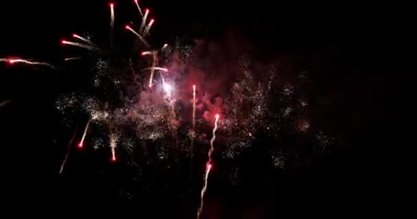 Fuochi Artificio Deauville Normandia Tempo Reale — Video Stock