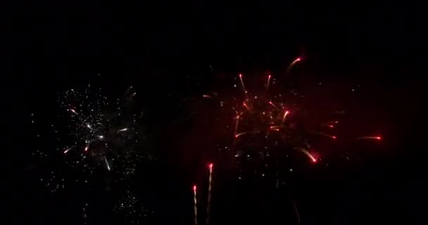 Fuochi Artificio Deauville Normandia Tempo Reale — Video Stock