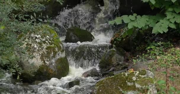 Waterfall Pleugueneuc Brittany France Real Time — 비디오