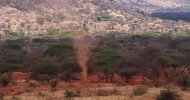 Dust Swirl Tornado Pequeño Sabana Parque Tsavo Tiempo Real — Vídeos de Stock