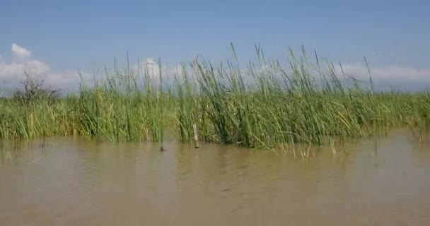 Baringo Lake Landscape Keňa Real Time — Stock video