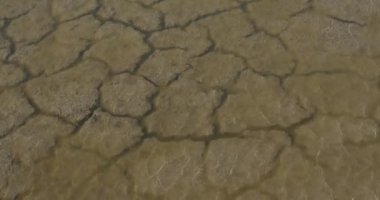 Water and Drought in the Marshes of Camargue, in the South East of France, Real Time 4K