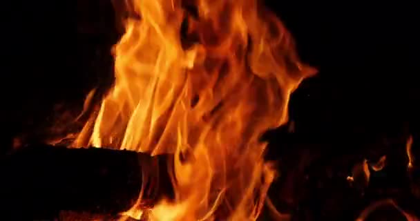 Bonefire Fire Flames Campfire Campsite Masai Mara Park Kenya Real — Stock Video