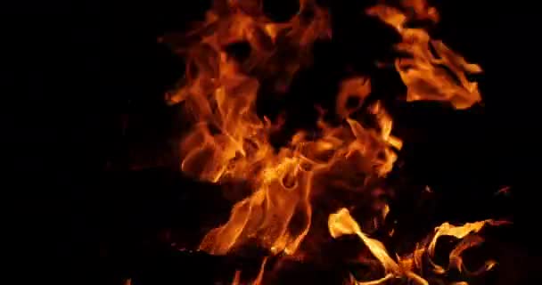 Bonefire Vuurvlammen Het Kampvuur Camping Masai Mara Park Kenia Real — Stockvideo