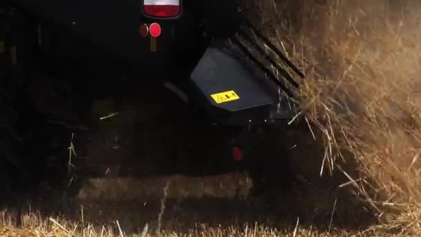 Combine Harvester Basly Normandy Real Time — Stockvideo
