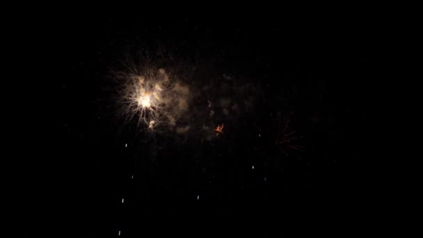 Fireworks Deauville Normandy Real Time — Stockvideo