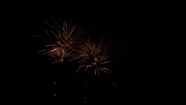 Fireworks Deauville Normandy Real Time — Stockvideo