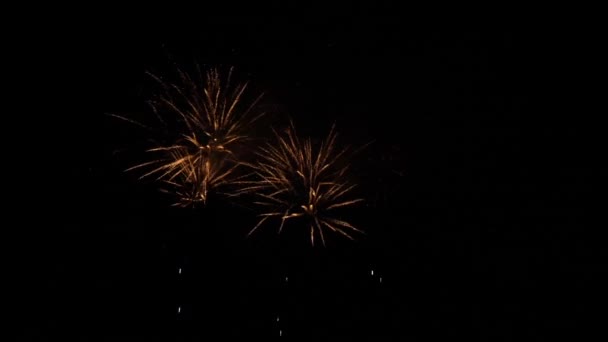 Fireworks Deauville Normandy Real Time — 비디오