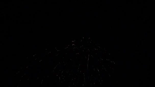 Fireworks Deauville Normandy Real Time — Stok video