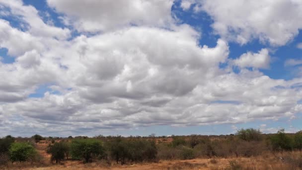 Paisaje Sabana Tsavo Park Cielo Con Coulds Kenia Cámara Lenta — Vídeo de stock