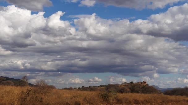 サバンナの風景パーク 山と雲 ケニア スローモーション — ストック動画