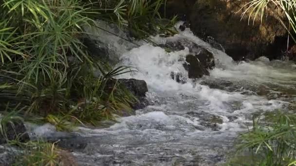 Wasserfall Bei Den Mzima Quellen Tsavo West Park Kenia Zeitlupe — Stockvideo