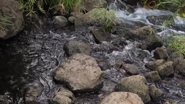 Водоспад Біля Струмків Мзіми Західний Парк Тсаво Кенії Сповільнює Рух — стокове відео