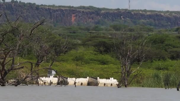 枯れ木や沈没した家 ケニア スローモーションで上昇する水を示すバリンゴ湖の風景 — ストック動画