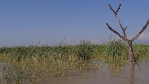 Baringo Lake Landscape Quênia Câmera Lenta — Vídeo de Stock