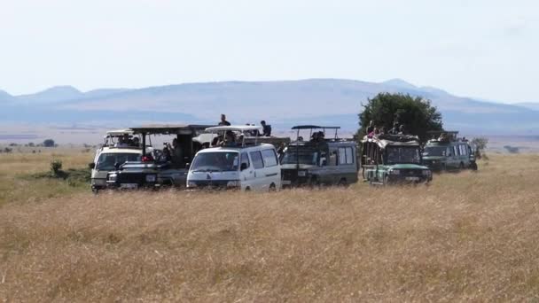 Photo Safari Masai Mara Park Kenya Slow Motion — 비디오