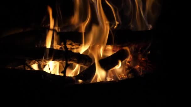 Bonefire Fire Flames Campfire Campsite Masai Mara Park Kenya Slow — Stock Video