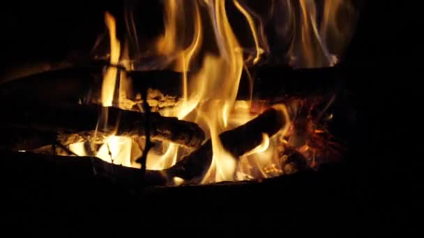 Bonefire Vuurvlammen Kampvuur Camping Masai Mara Park Kenia Slow Motion — Stockvideo