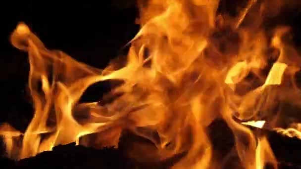 Feu Joie Flammes Feu Dans Feu Camp Camping Masai Mara — Video