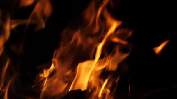 Bonefire Vuurvlammen Kampvuur Camping Masai Mara Park Kenia Slow Motion — Stockvideo