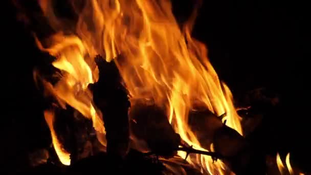 Bonefire Fire Flames Campfire Camp Site Masai Mara Park Kenya — 图库视频影像