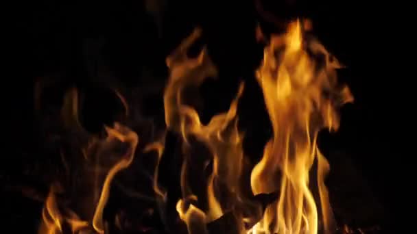 たき火 キャンプファイヤーの炎 マサイ マラ公園のキャンプ場 ケニア スローモーション — ストック動画