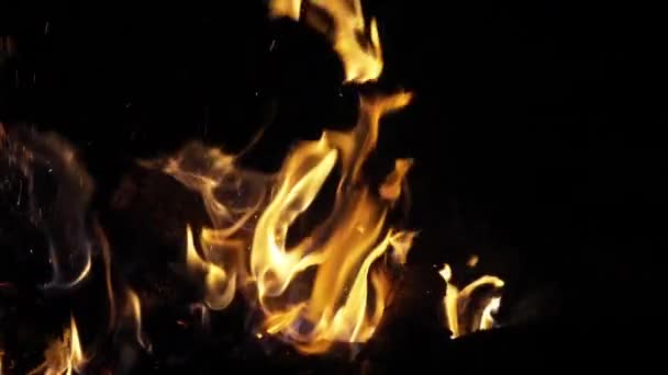 Bonefire Vuurvlammen Kampvuur Camping Masai Mara Park Kenia Slow Motion — Stockvideo