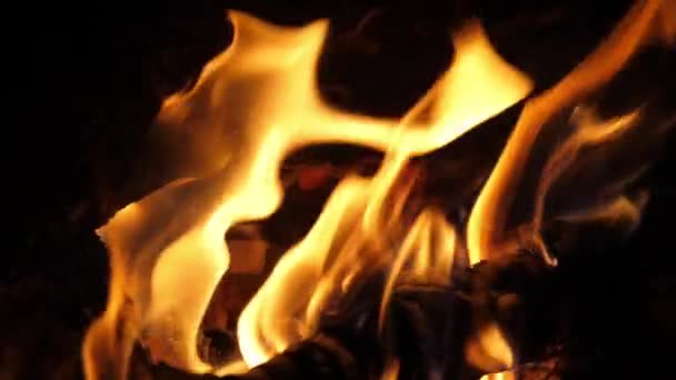 Bonefire Fire Flames Campfire Campsite Masai Mara Park Kenya Slow — Stock Video