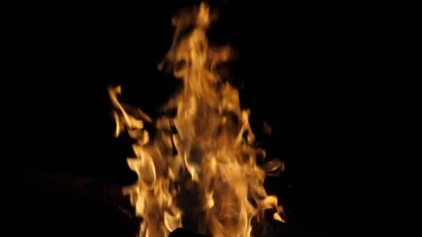 Feu Joie Flammes Feu Dans Feu Camp Camping Masai Mara — Video